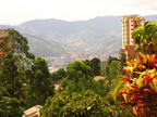 El Poblado Medellin Neighborhood (83kb)